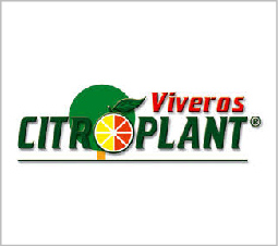 Fetico Citroplant