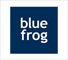 Fetico Blue Frog