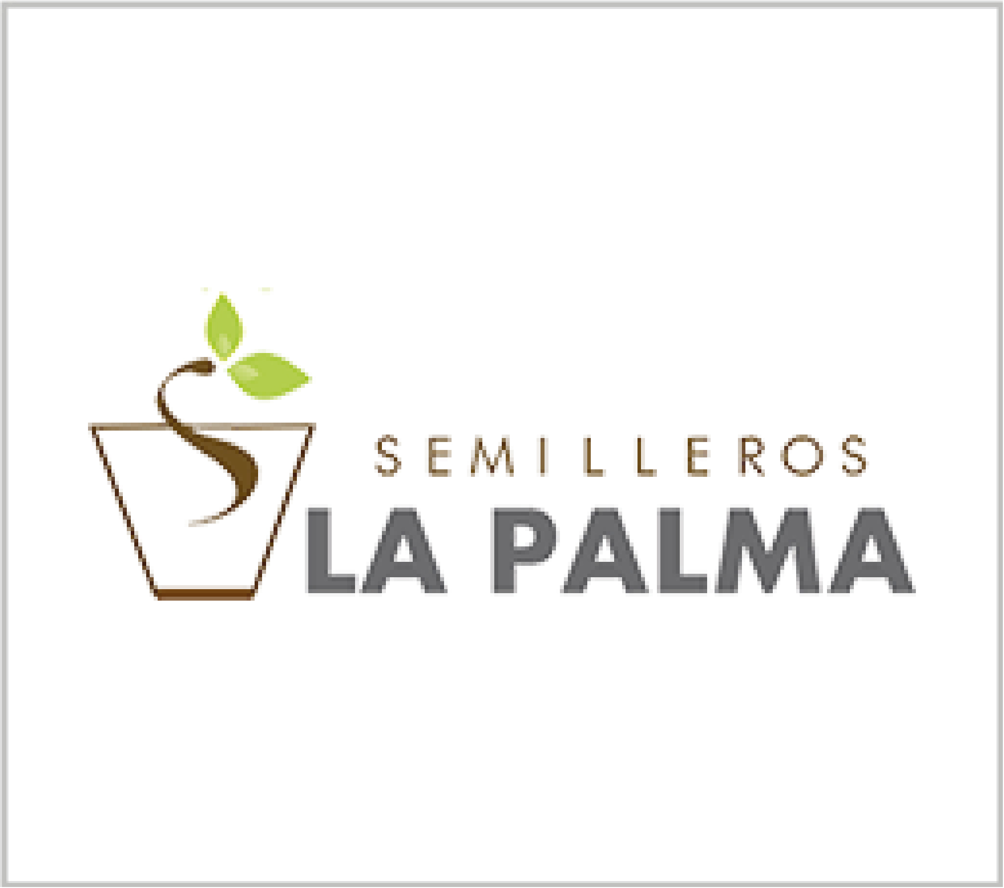 Fetico Semilleros La Palma