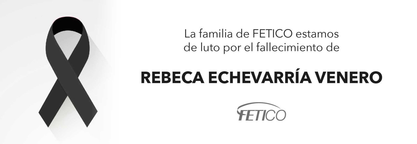 web cabecera DEP rebeca carrefour 02